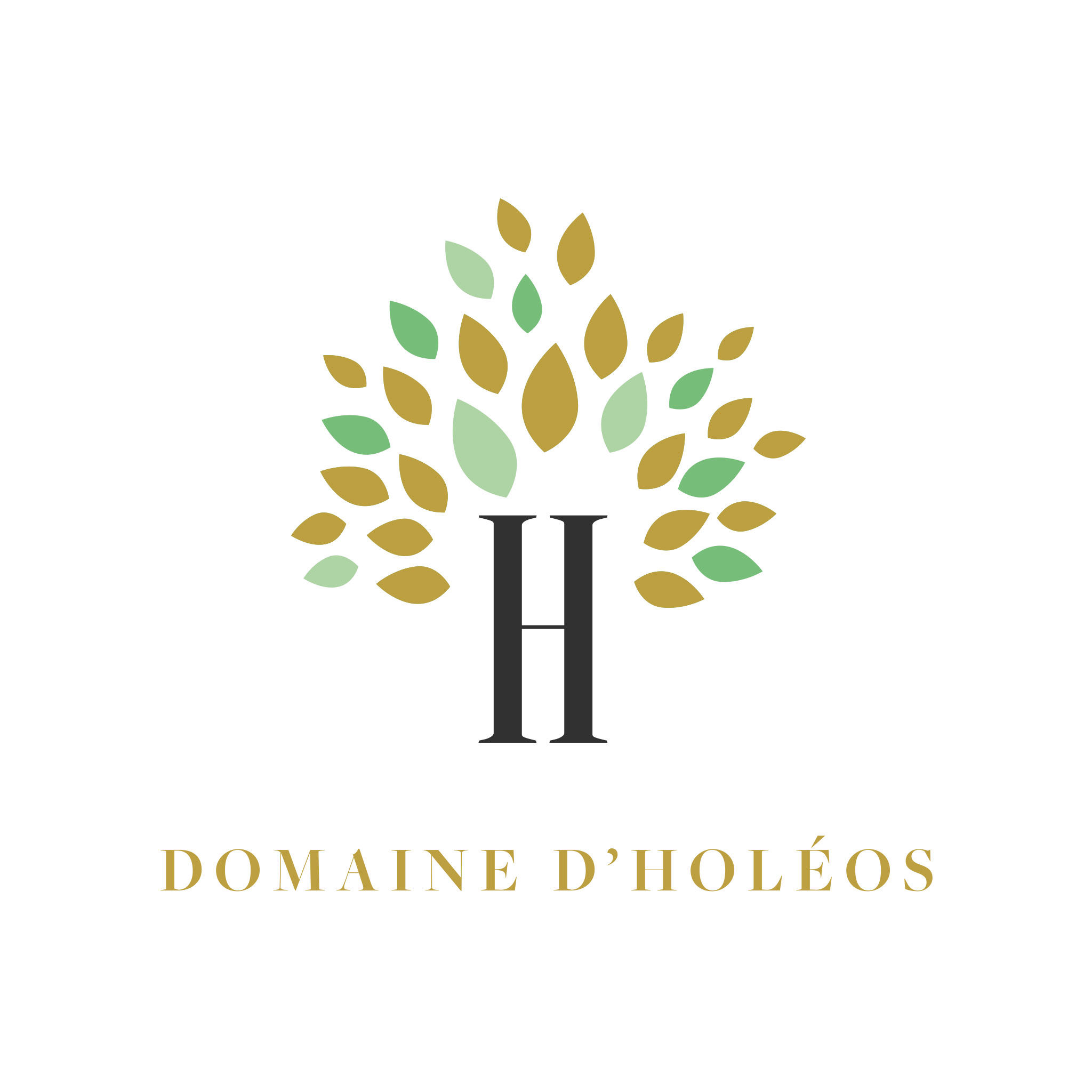 logo domaine holeos